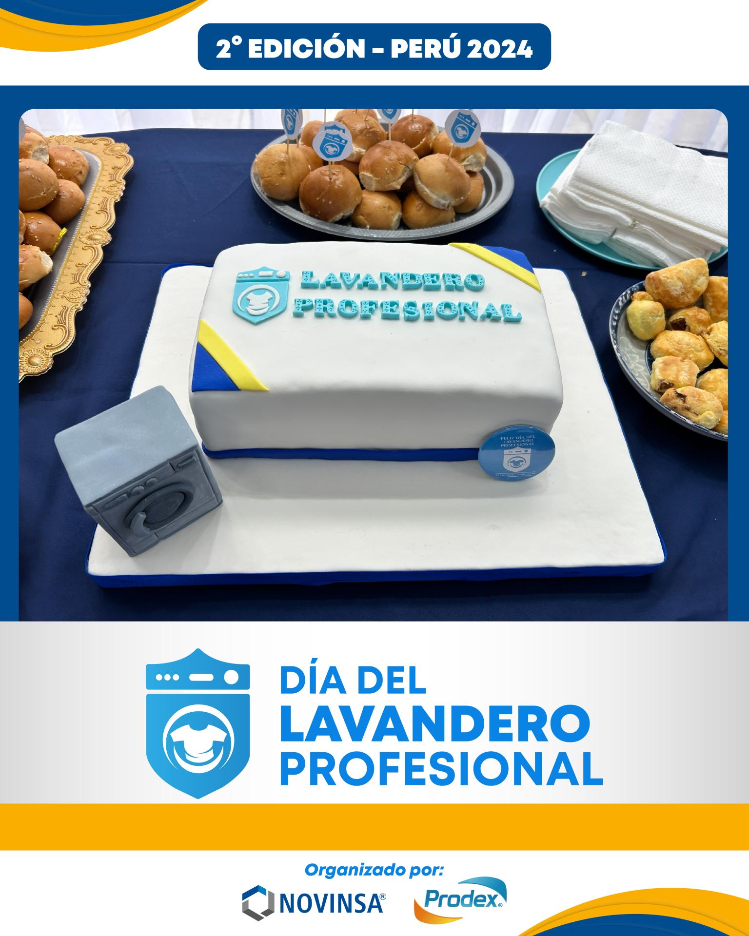 día del lavandero profesional