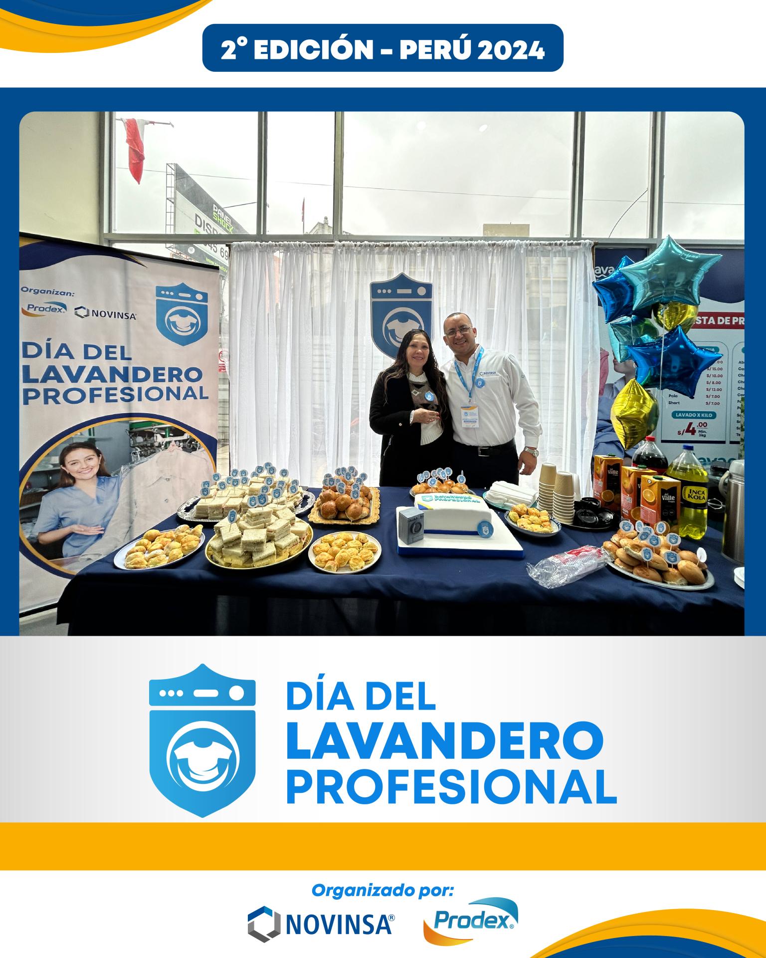 día del lavandero profesional
